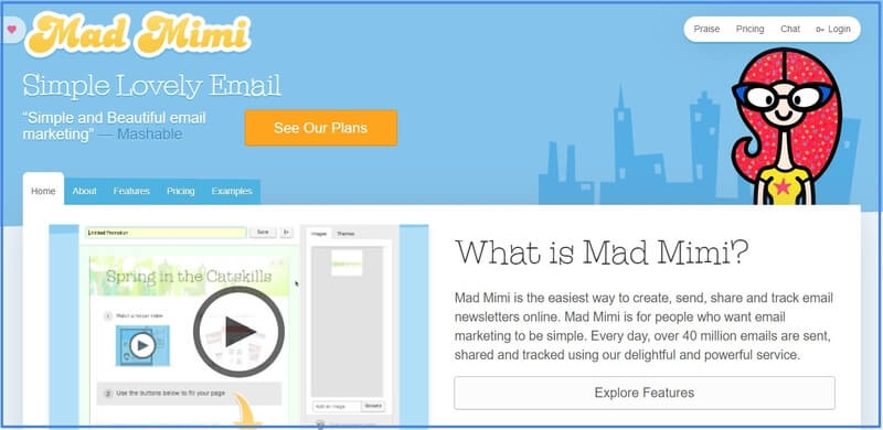 MadMimi Best Email Marketing Software services
