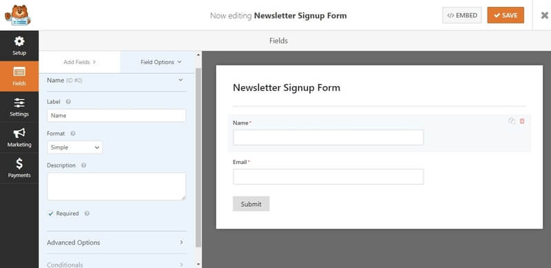 Single input field for name in the newsletter template of WPForms Connect WordPress Website Leads And Salesforce