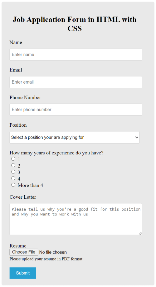 Job Application Form Format