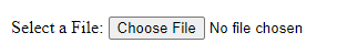 HTML input type file element