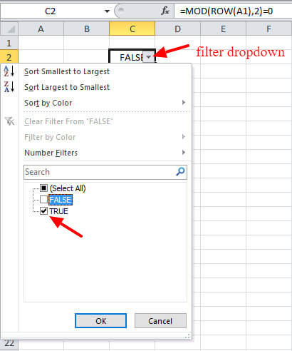 Click Filter dropdown and click only TRUE checkbox in the filter dropdown