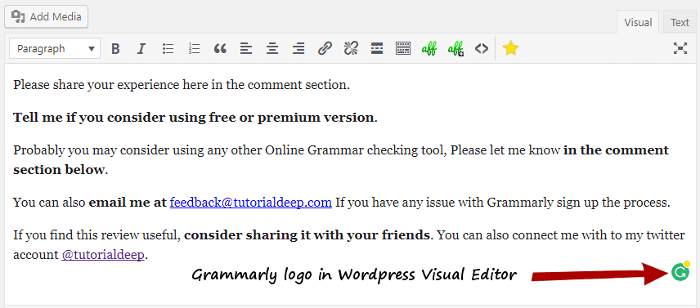 Grammarly english writing at wordpress editor