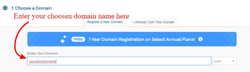 Enter your chosen domain name