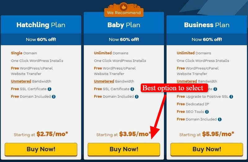 Select shared hosting baby plan