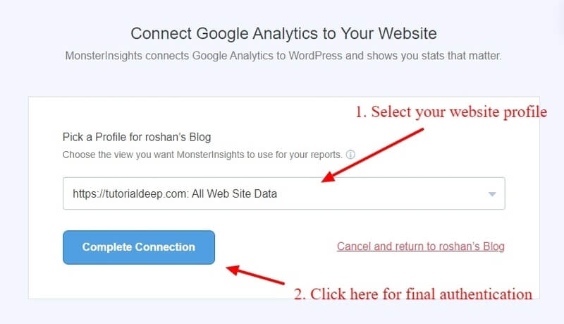 MonsterInsights Setup Wizard connect MonsterInsights with your website profile to finalize connection