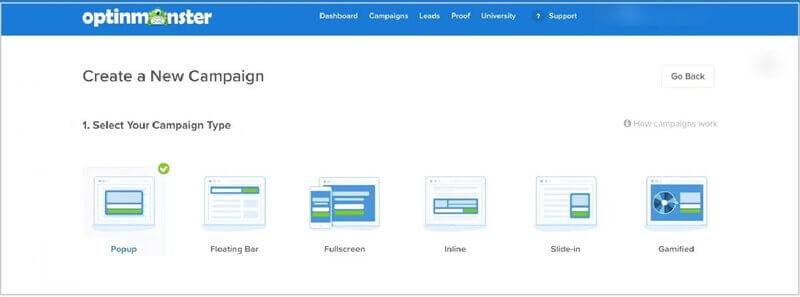 optinmonster-review-select-campaign-type