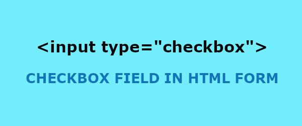 Input Type Text Field in HTML Form